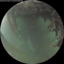 ./images/calvert/underwater/20260629/underwater20260629_051001M.jpg