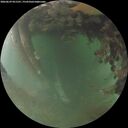 ./images/calvert/underwater/20260629/underwater20260629_051501M.jpg