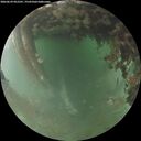 ./images/calvert/underwater/20260629/underwater20260629_052501M.jpg
