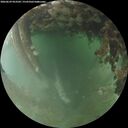 ./images/calvert/underwater/20260629/underwater20260629_053502M.jpg