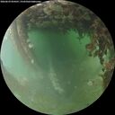 ./images/calvert/underwater/20260629/underwater20260629_054501M.jpg
