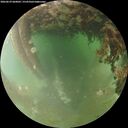 ./images/calvert/underwater/20260629/underwater20260629_060002M.jpg