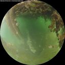 ./images/calvert/underwater/20260629/underwater20260629_061501M.jpg