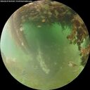 ./images/calvert/underwater/20260629/underwater20260629_063501M.jpg