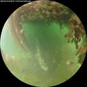 ./images/calvert/underwater/20260629/underwater20260629_064001M.jpg