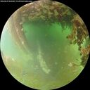 ./images/calvert/underwater/20260629/underwater20260629_065001M.jpg