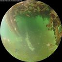 ./images/calvert/underwater/20260629/underwater20260629_065501M.jpg