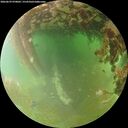 ./images/calvert/underwater/20260629/underwater20260629_070002M.jpg