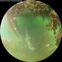 ./images/calvert/underwater/20260629/underwater20260629_071001M.jpg