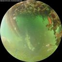./images/calvert/underwater/20260629/underwater20260629_071501M.jpg