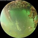 ./images/calvert/underwater/20260629/underwater20260629_072001M.jpg