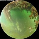 ./images/calvert/underwater/20260629/underwater20260629_072501M.jpg