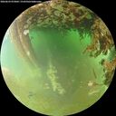 ./images/calvert/underwater/20260629/underwater20260629_073002M.jpg