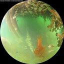 ./images/calvert/underwater/20260629/underwater20260629_080001M.jpg