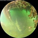 ./images/calvert/underwater/20260629/underwater20260629_080501M.jpg