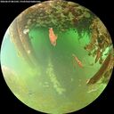 ./images/calvert/underwater/20260629/underwater20260629_081502M.jpg