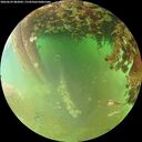 ./images/calvert/underwater/20260629/underwater20260629_082001M.jpg