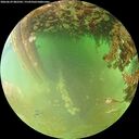 ./images/calvert/underwater/20260629/underwater20260629_082501M.jpg