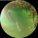 ./images/calvert/underwater/20260629/underwater20260629_084501M.jpg
