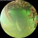 ./images/calvert/underwater/20260629/underwater20260629_090501M.jpg