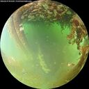 ./images/calvert/underwater/20260629/underwater20260629_091001M.jpg