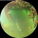 ./images/calvert/underwater/20260629/underwater20260629_091501M.jpg