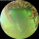 ./images/calvert/underwater/20260629/underwater20260629_092002M.jpg
