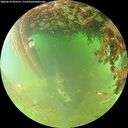 ./images/calvert/underwater/20260629/underwater20260629_092501M.jpg