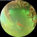 ./images/calvert/underwater/20260629/underwater20260629_093001M.jpg