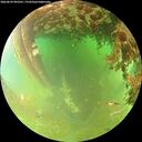 ./images/calvert/underwater/20260629/underwater20260629_093501M.jpg