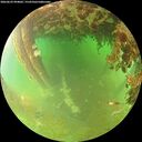 ./images/calvert/underwater/20260629/underwater20260629_094001M.jpg