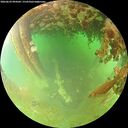 ./images/calvert/underwater/20260629/underwater20260629_094502M.jpg