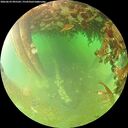 ./images/calvert/underwater/20260629/underwater20260629_095501M.jpg