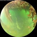 ./images/calvert/underwater/20260629/underwater20260629_100501M.jpg