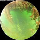 ./images/calvert/underwater/20260629/underwater20260629_101501M.jpg