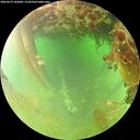 ./images/calvert/underwater/20260629/underwater20260629_102001M.jpg