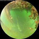 ./images/calvert/underwater/20260629/underwater20260629_102502M.jpg
