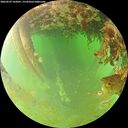 ./images/calvert/underwater/20260629/underwater20260629_103001M.jpg