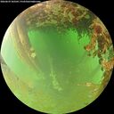 ./images/calvert/underwater/20260629/underwater20260629_103502M.jpg