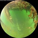 ./images/calvert/underwater/20260629/underwater20260629_104002M.jpg