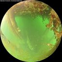 ./images/calvert/underwater/20260629/underwater20260629_105501M.jpg