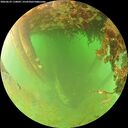 ./images/calvert/underwater/20260629/underwater20260629_110001M.jpg