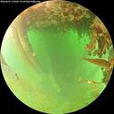 ./images/calvert/underwater/20260629/underwater20260629_110501M.jpg