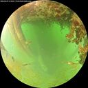 ./images/calvert/underwater/20260629/underwater20260629_111001M.jpg