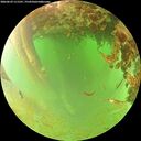 ./images/calvert/underwater/20260629/underwater20260629_111501M.jpg