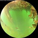 ./images/calvert/underwater/20260629/underwater20260629_112002M.jpg