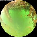 ./images/calvert/underwater/20260629/underwater20260629_113001M.jpg