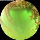./images/calvert/underwater/20260629/underwater20260629_113502M.jpg