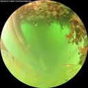 ./images/calvert/underwater/20260629/underwater20260629_114001M.jpg