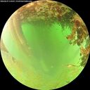 ./images/calvert/underwater/20260629/underwater20260629_114501M.jpg